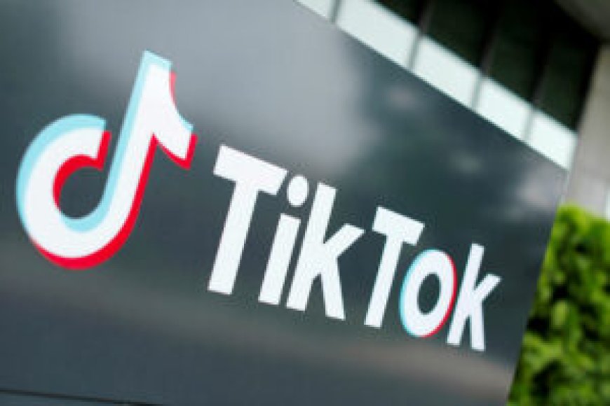 Using TikTok fosters growth, but also challenging for big businesses --[Reported by Umva mag]