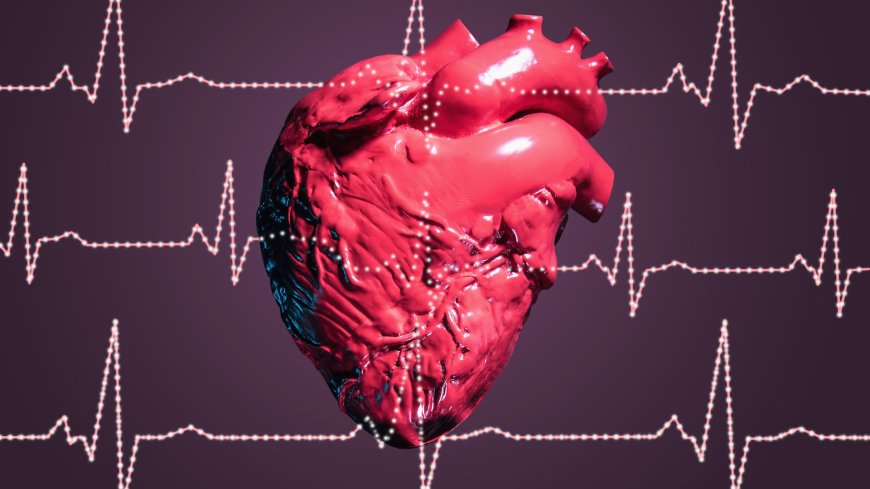 How many times does a heart beat in a day? What about in a lifetime? --[Reported by Umva mag]