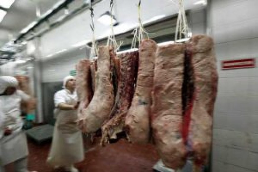 Meat imports up 11.06% by volume in August --[Reported by Umva mag]