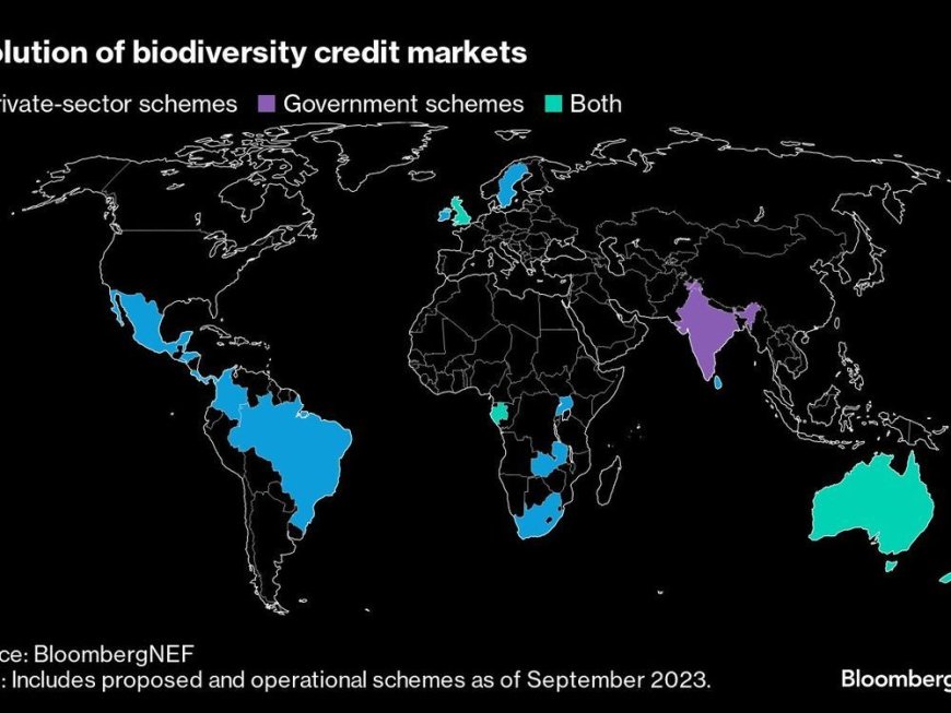 Global Banks Embark on a New Wave of Product Innovation Targeting Nature --[Reported by Umva mag]