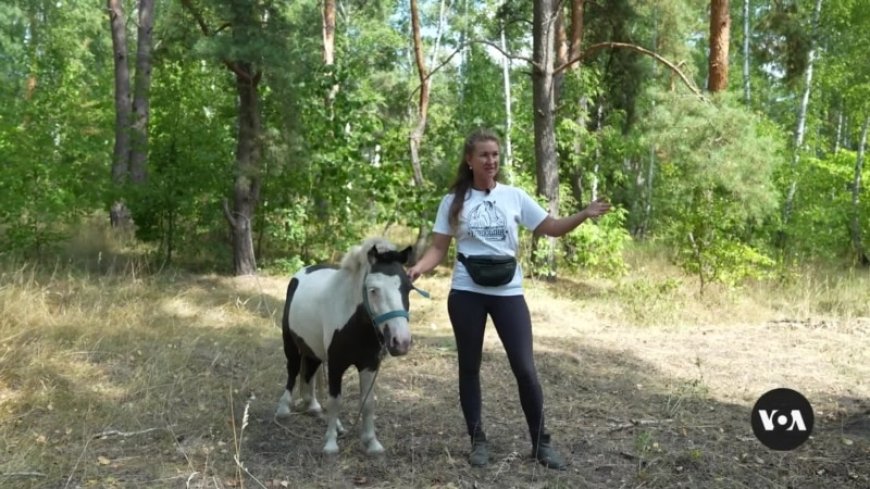 Time with horses is helping some Ukrainian kids deal with war --[Reported by Umva mag]