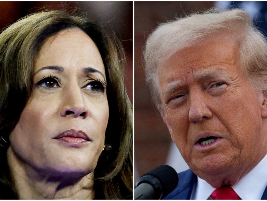 Harris losing ground to Trump in US presidential race, polls suggest --[Reported by Umva mag]