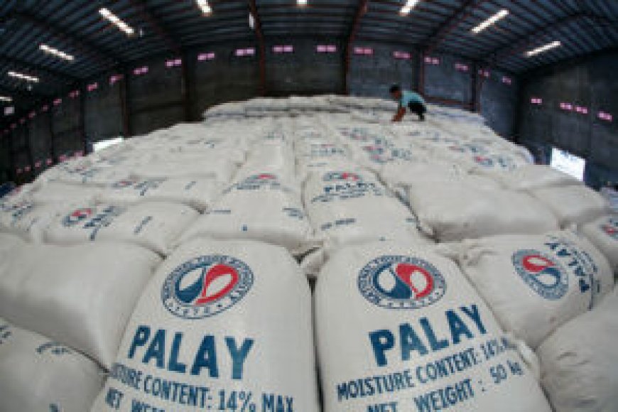 NFA Aug. palay procurement tops 3,209 MT --[Reported by Umva mag]