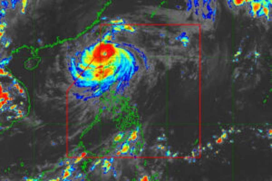 Crop insurance payouts expected for over 10,000 farmers following typhoon --[Reported by Umva mag]