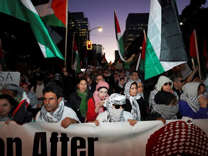 In shadow of Israel’s war on Gaza, Palestinian diaspora fights to be heard --[Reported by Umva mag]