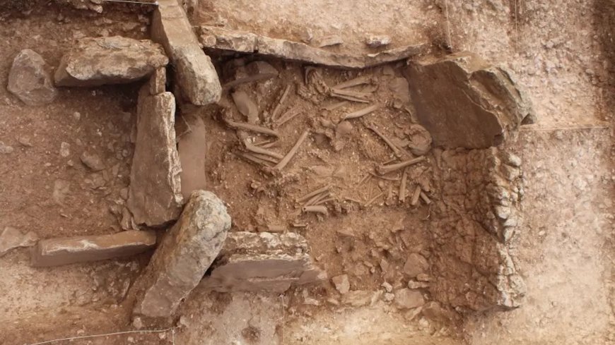 5,000-year-old cemetery in Spain has twice as many females as males, and nobody knows why --[Reported by Umva mag]