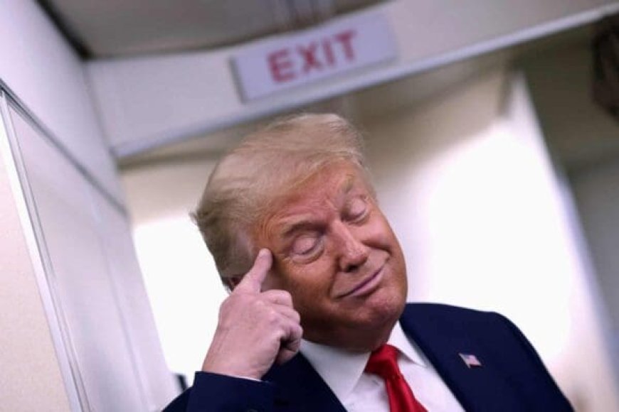 Trump Melts Down After Kamala Harris Calls Out His Mental Decline --[Reported by Umva mag]