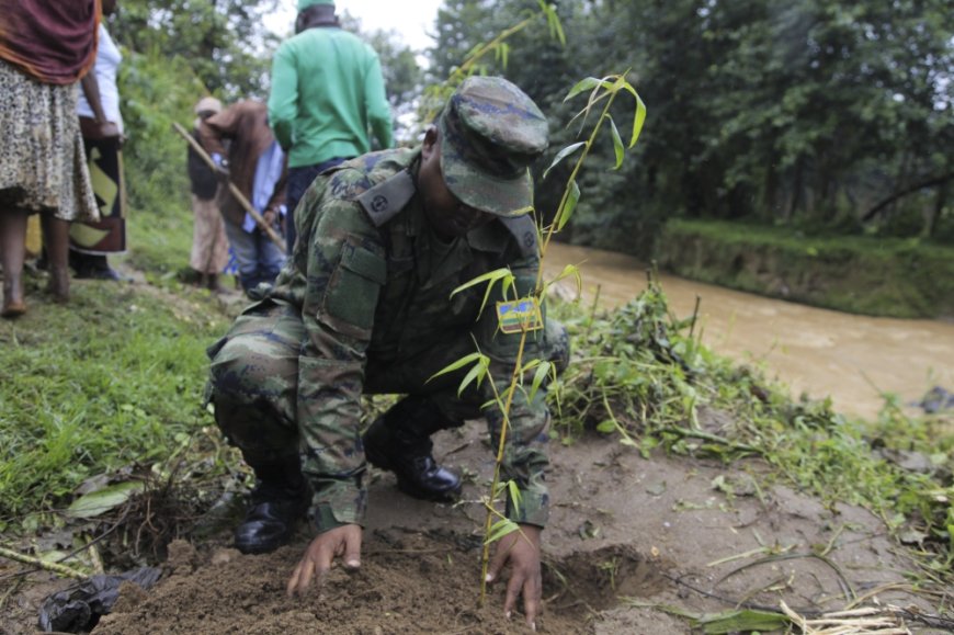 Rwanda to plant 65 million trees in one month --[Reported by Umva mag]