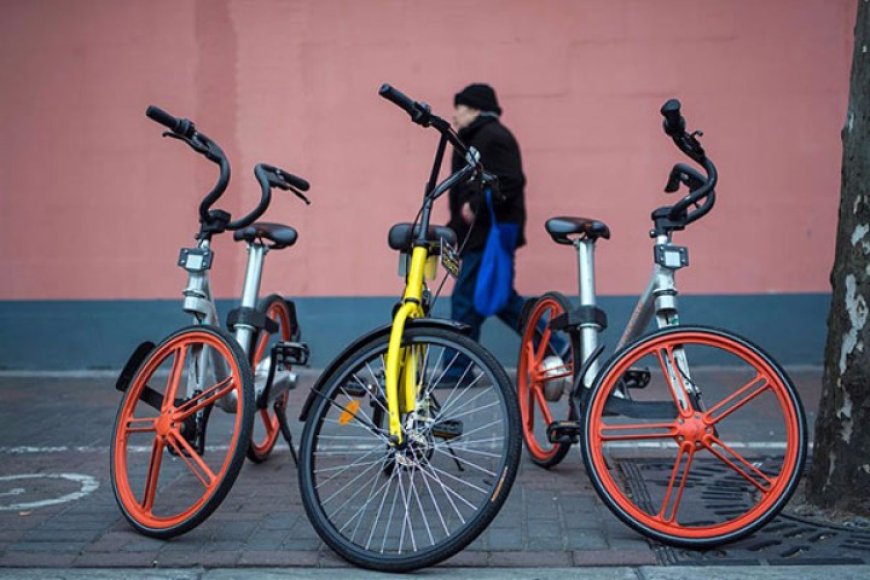 Bike-sharing investors talk major merger --[Reported by Umva mag]