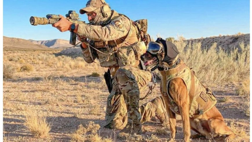 First look at high-tech new kit for Army dogs serving on the frontline as canine heroes get £3m kit upgrade --[Reported by Umva mag]