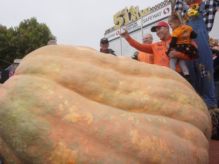 Pumpkin weighing 2,471 pounds wins California contest --[Reported by Umva mag]